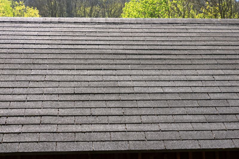 Slate Shingles Repair detail